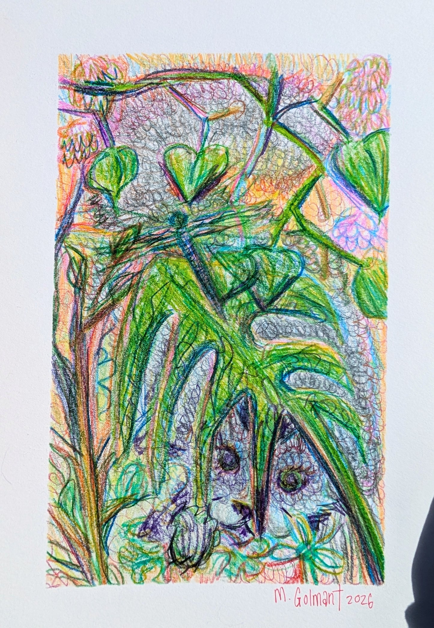 Maisie 03 Original Illustration